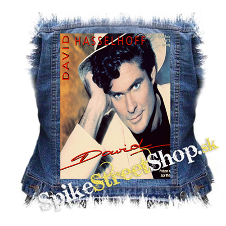 DAVID HASSELHOFF - David - chrbtová nášivka