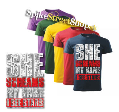 I SEE STARS - She Screams My Name - farebné pánske tričko