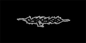 CARCASS - Logo - široká chrbtová nášivka s rozmerom 33 x 15 cm