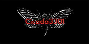CICADA 3301 - široká chrbtová nášivka s rozmerom 33 x 15 cm