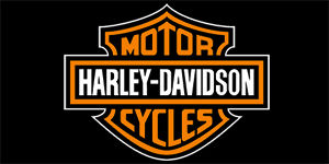 HARLEY-DAVIDSON MOTORCYCLES - široká chrbtová nášivka s rozmerom 33 x 15 cm