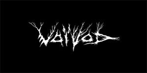 VOIVOD - The Wake Logo - široká chrbtová nášivka s rozmerom 33 x 15 cm