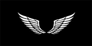 WINGS - Krídla - široká chrbtová nášivka s rozmerom 33 x 15 cm