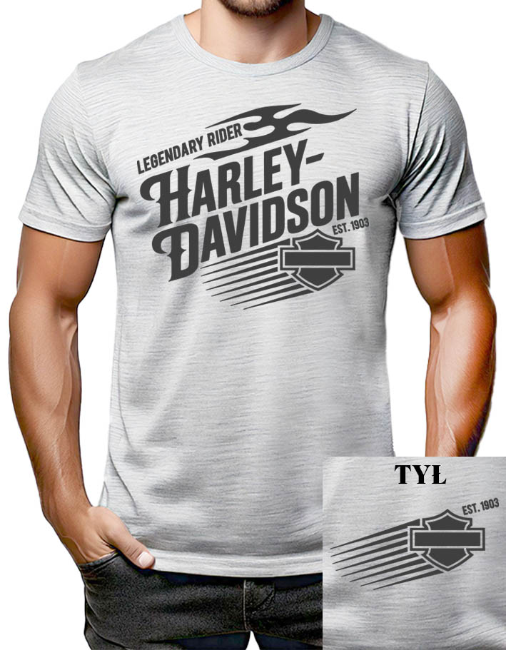 HARLEY DAVIDSON - Legendary Rider Est.1903 - svetlosivé pánske tričko