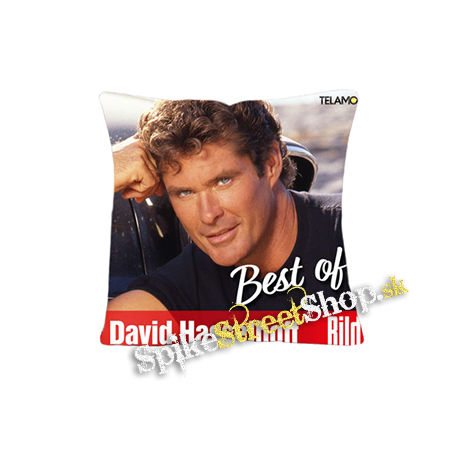 DAVID HASSELHOFF - BILD Best of - vankúš