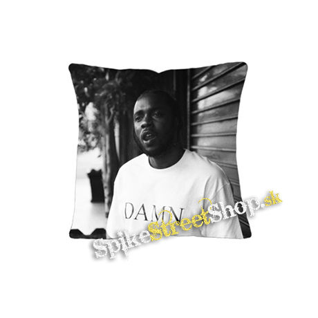 KENDRICK LAMAR - DAMN. COLLECTORS EDITION - vankúš