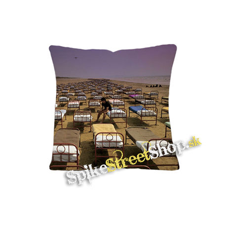 PINK FLOYD - A Momentary Lapse of Reason - vankúš
