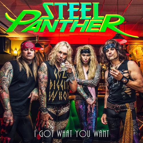 Fotonášivka STEEL PANTHER - I Got What You Want