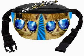 Ľadvinka CAT COLLECTION - Blue Glasses Cat
