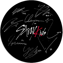 STRAY KIDS - Logo With Signature - odznak