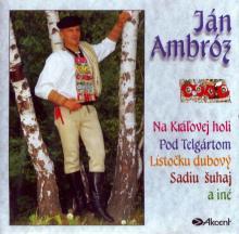 AMBRÓZ JÁN - Na Kráľovej Holi (cd) 