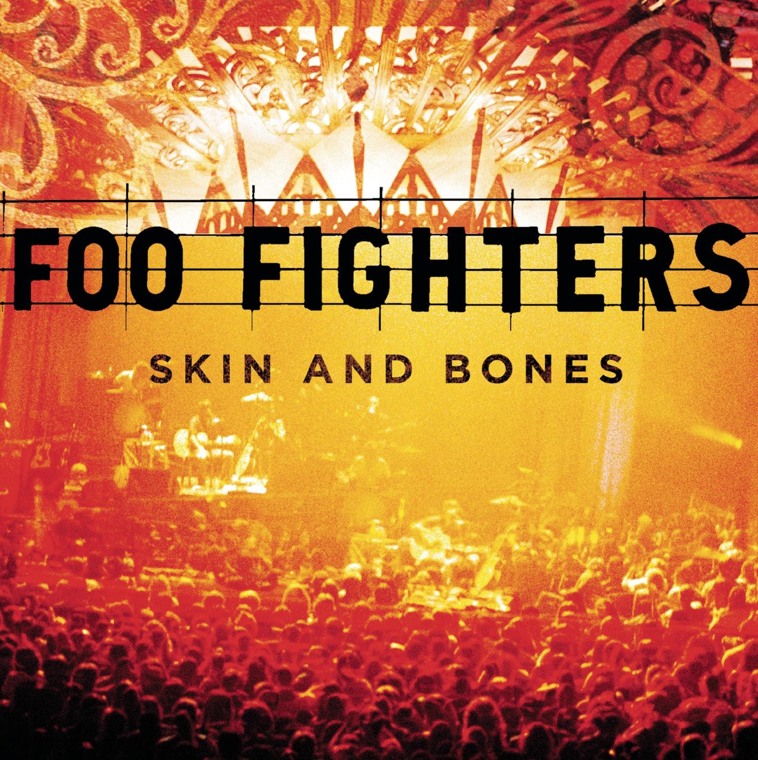 FOO FIGHTERS - Skin And Bones (cd)