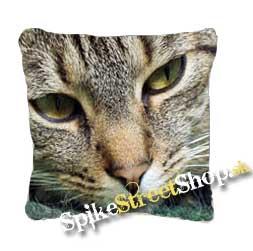 VÝPREDAJ !!CAT COLLECTION - zamilovaný kocúrik - vankúš