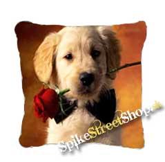 DOGS COLLECTION - Retriever s ružou - vankúš