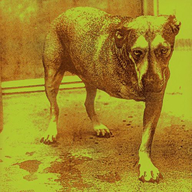 Fotonášivka ALICE IN CHAINS - Alice In Chains