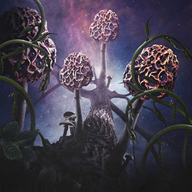 Fotonášivka BLUT AUS NORD - Hallucinogen