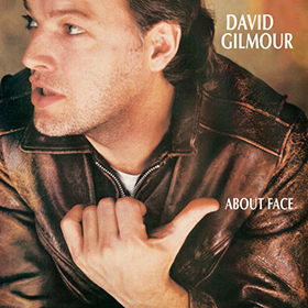 Fotonášivka DAVID GILMOUR - About Face