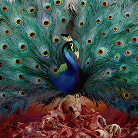Fotonášivka OPETH - Sorceress