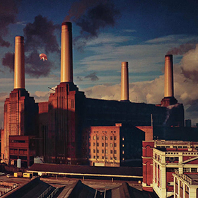 Fotonášivka PINK FLOYD - Animals