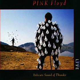 Fotonášivka PINK FLOYD - Delicate Sound of Thunder