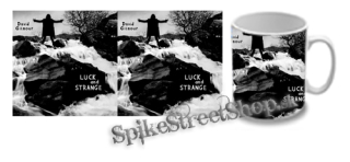 Hrnček DAVID GILMOUR - Luck and Strange