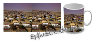 Hrnček PINK FLOYD - A Momentary Lapse of Reason