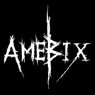 Fotonášivka AMEBIX - Logo