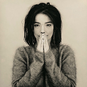 Fotonášivka Björk - Debut