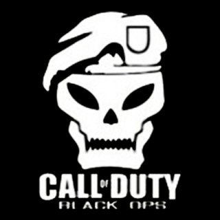 Fotonášivka CALL OF DUTY - Skull