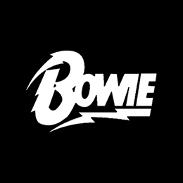 Fotonášivka DAVID BOWIE - Logo