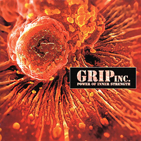 Fotonášivka GRIP INC. - Power of Inner Strength
