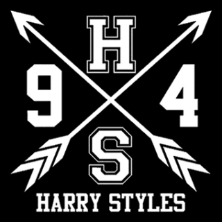 Fotonášivka HARRY STYLES - Logo Crest