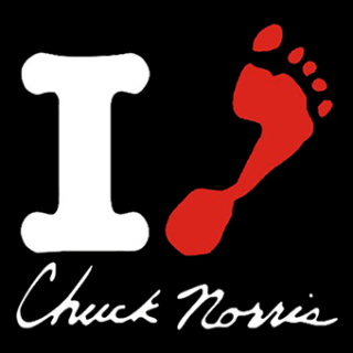 Fotonášivka CHUCK NORRIS - I Love Chuck Norris