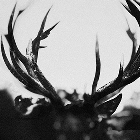 Fotonášivka IHSAHN - IHSAHN
