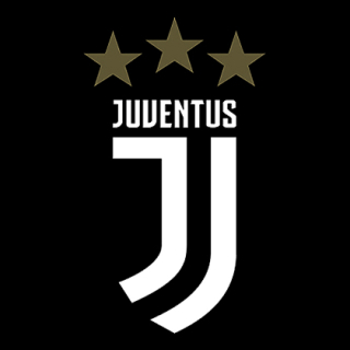 Fotonášivka JUVENTUS FC - Logo Motive 2 Gold Star