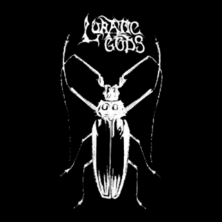 Fotonášivka LUNATIC GODS - Vresovrenie Cover Art 2
