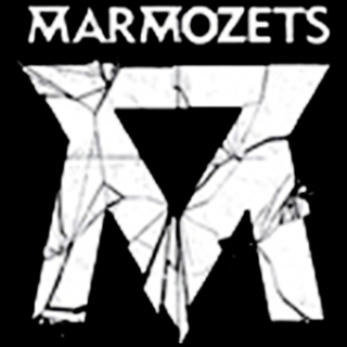 Fotonášivka MARMOZETS - Smashed Logo