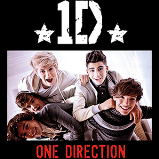 Fotonášivka ONE DIRECTION - Star