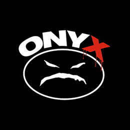Fotonášivka ONYX - Logo