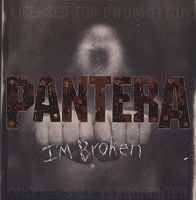 Fotonášivka PANTERA - I´m Broken