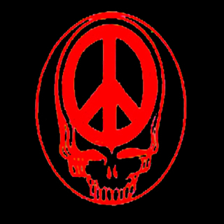 Fotonášivka PEACE SKULL