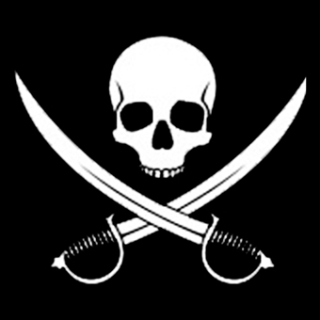 Fotonášivka PIRATE SKULL