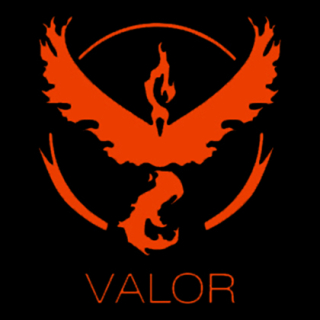 Fotonášivka POKEMON - Valor