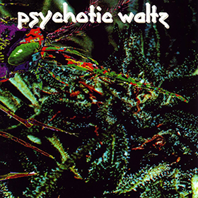 Fotonášivka PSYCHOTIC WALTZ - Mosquito