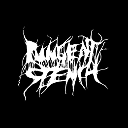 Fotonášivka PUNGENT STENCH - Logo
