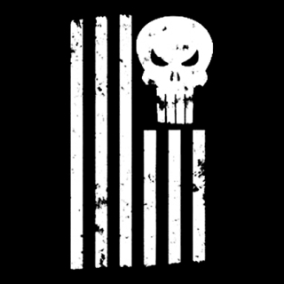 Fotonášivka PUNISHER - American Lebka