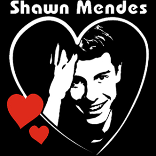 Fotonášivka SHAWN MENDES - My Sweetheart