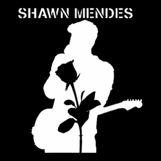 Fotonášivka SHAWN MENDES - Rose Portrait