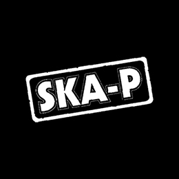 Fotonášivka SKA-P