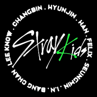 Fotonášivka STRAY KIDS - Oddinary Circle Names